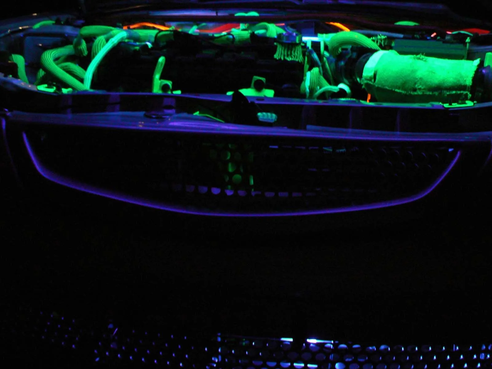 Black Light - Grill2.jpg