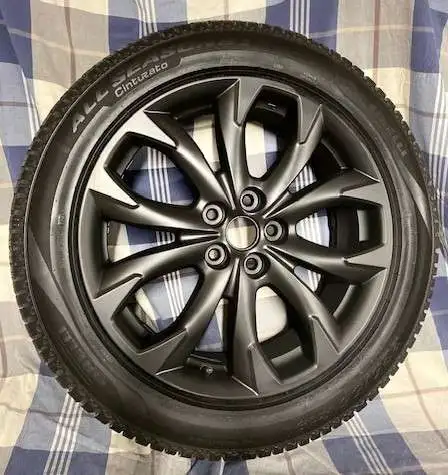 Blacked out 19" Rims