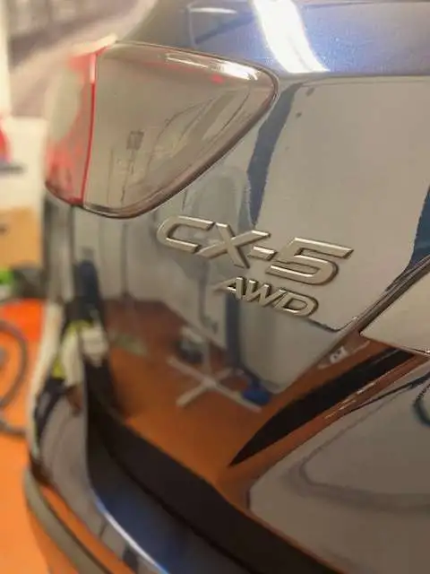 Blacked out Badges II