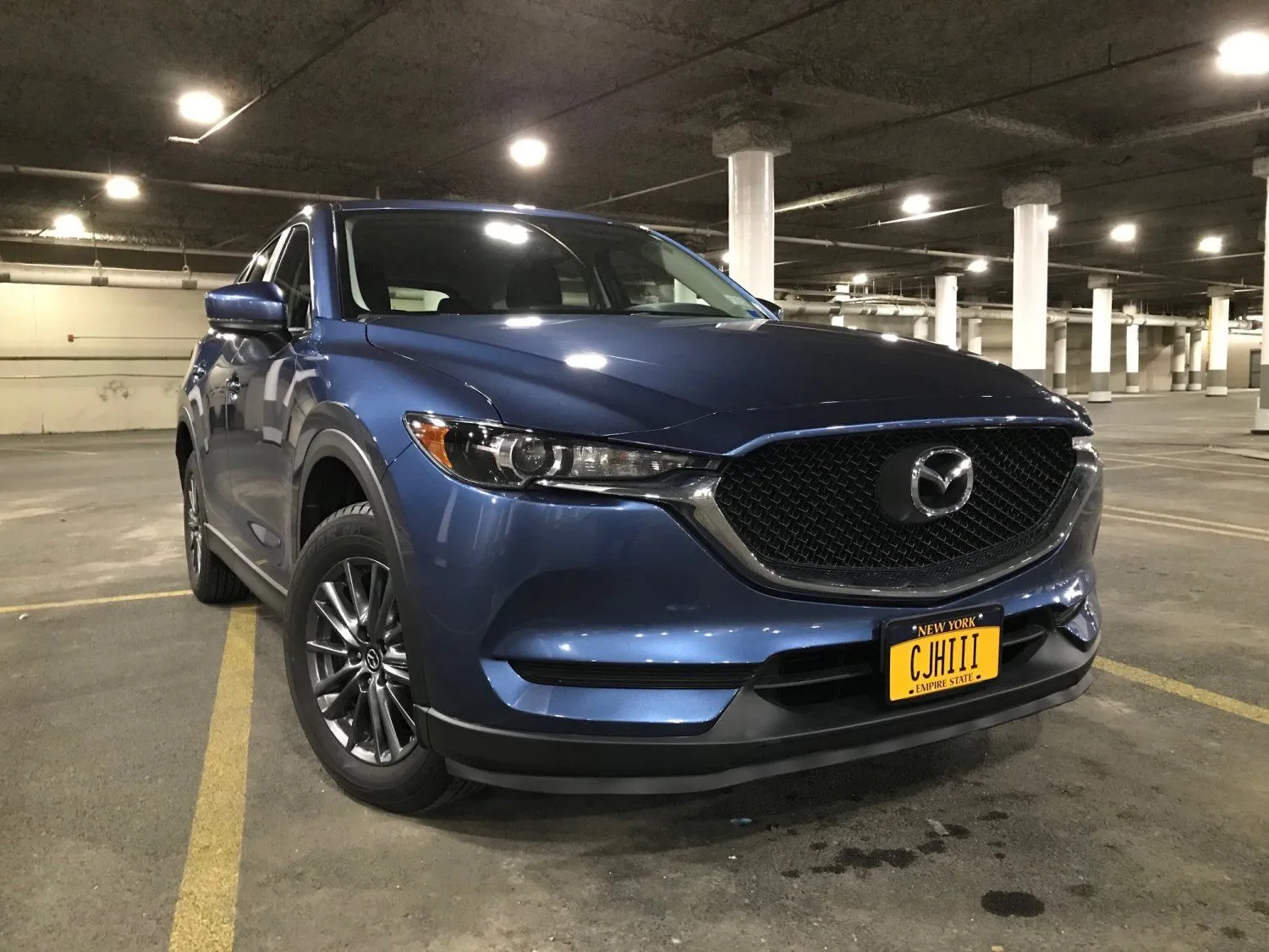 Blue1.jpg
