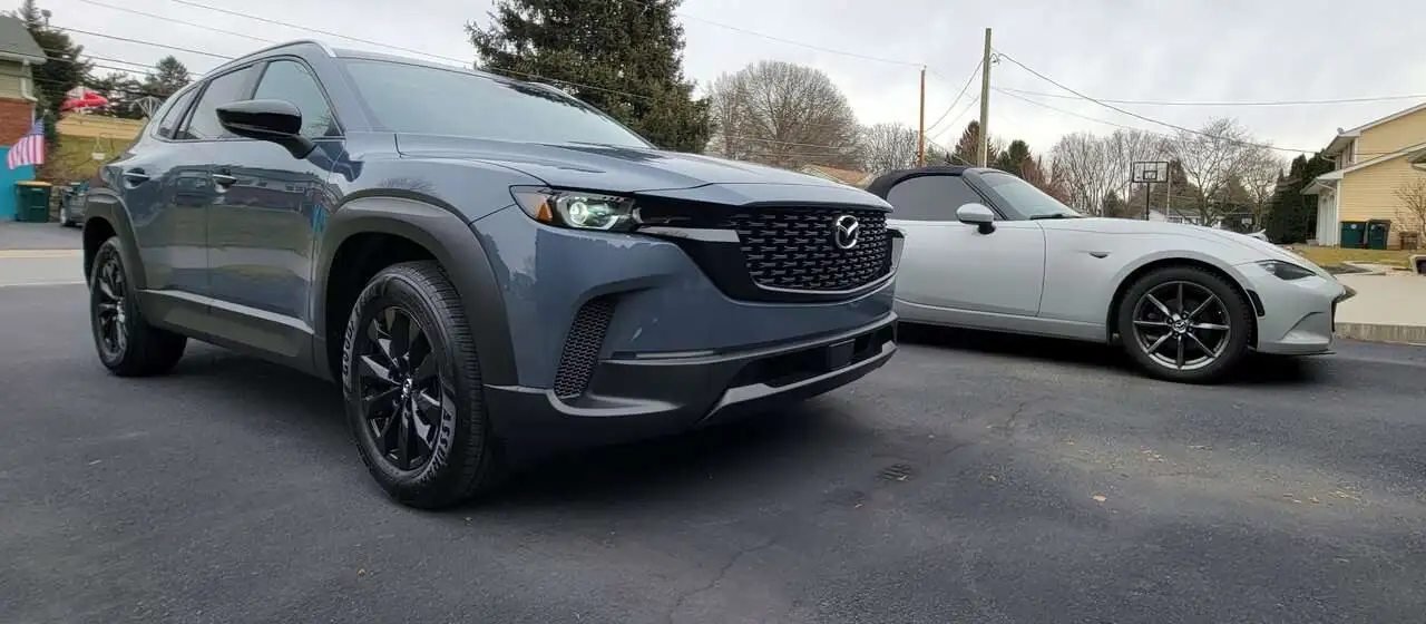 Bode - New Roommate 25Feb23.jpeg