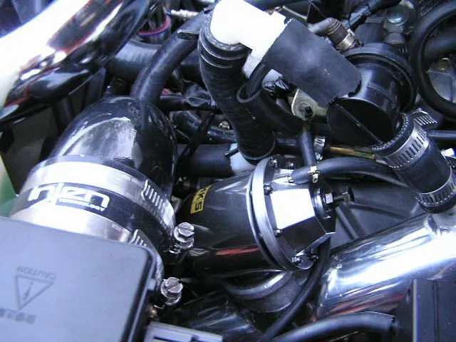 BOV&BPV3.webp