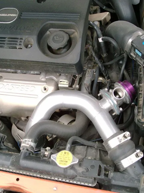 Bov2.jpg