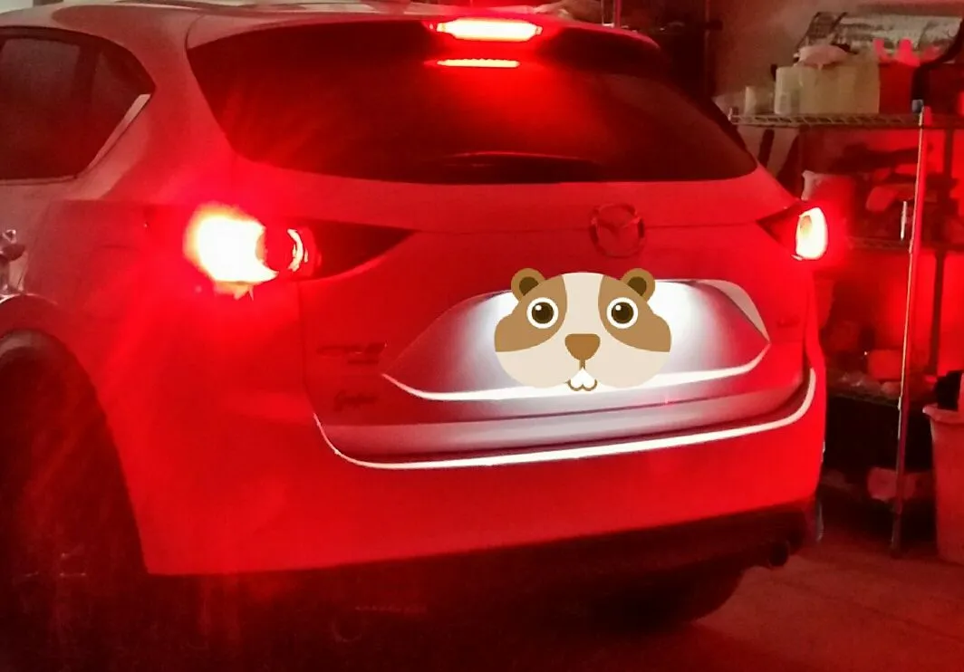 Brake LEDs 2.jpg