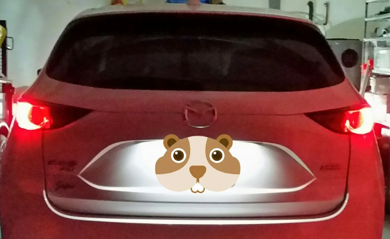 Brake LEDs 3.jpg