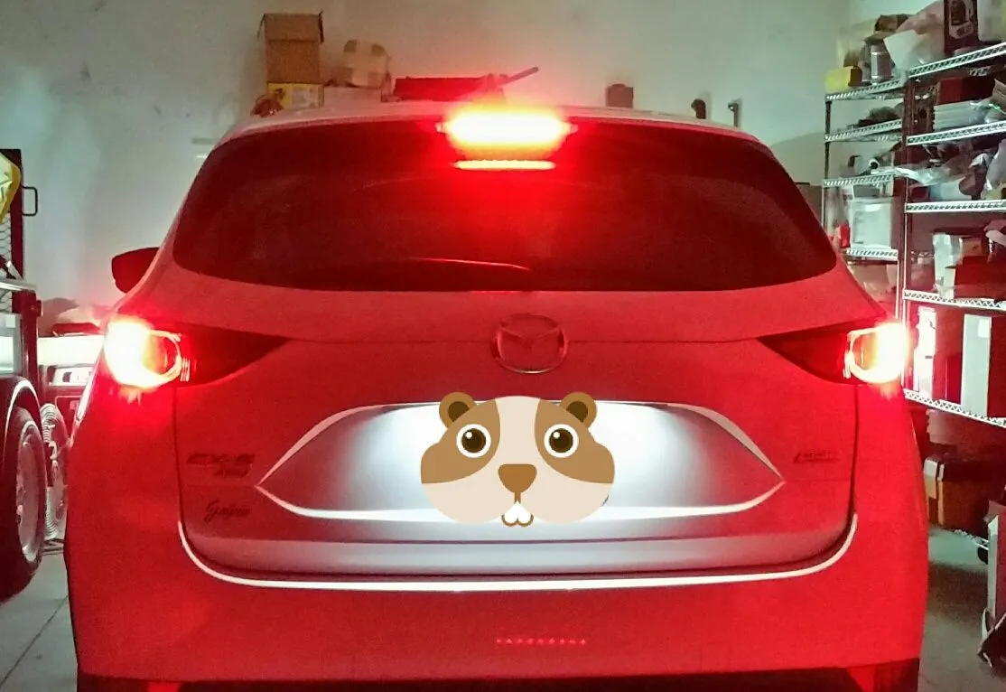 Brake LEDs.jpg