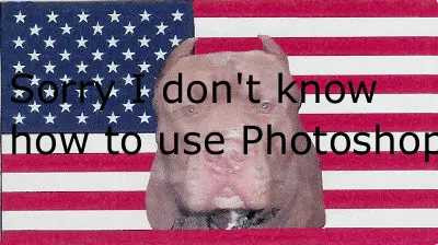 bulldog2.webp