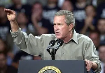 bushthishigh.webp