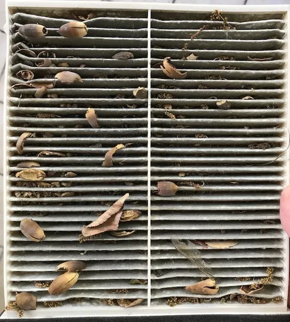cabin filter.jpg
