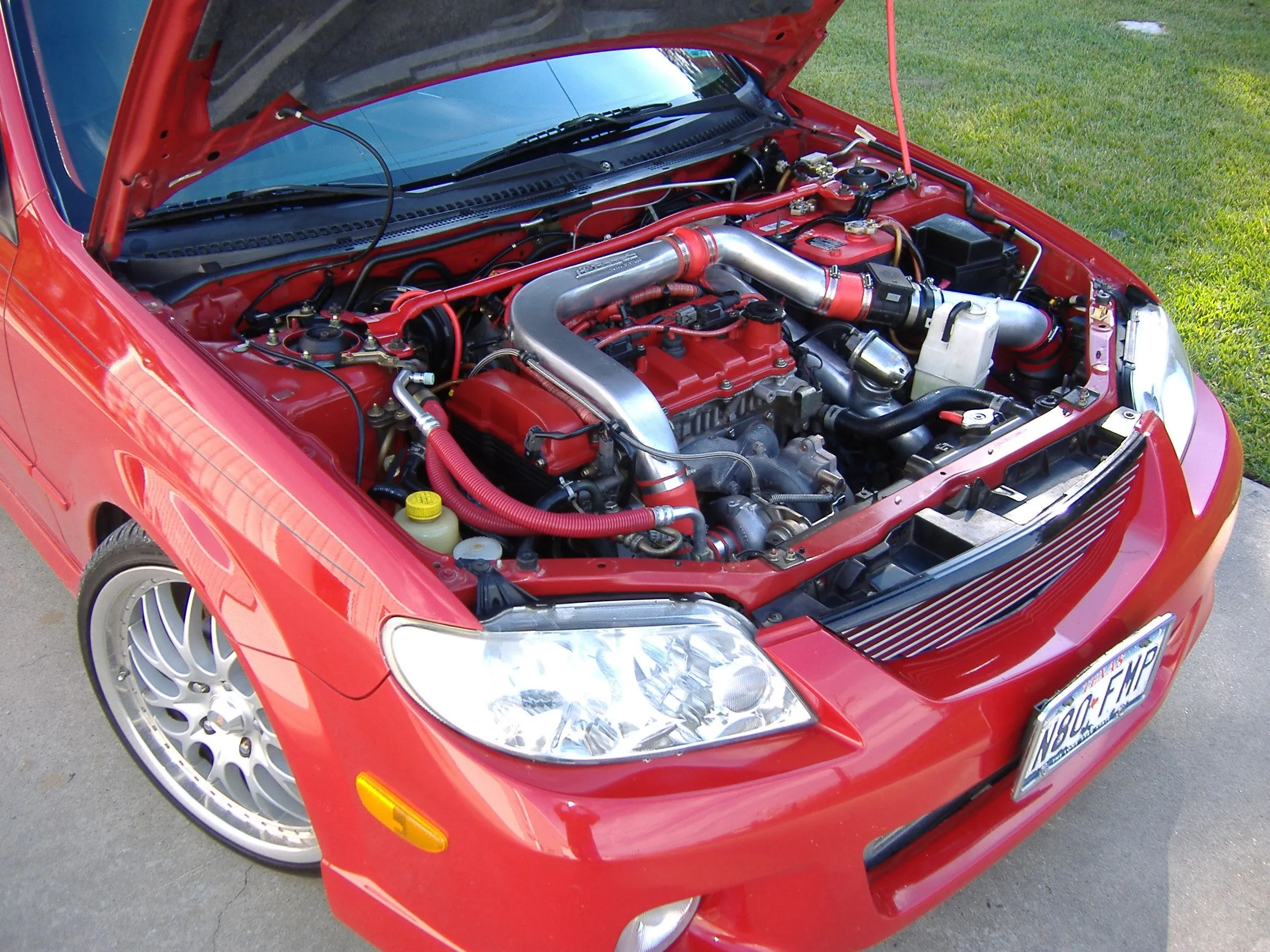 cai 003.jpg