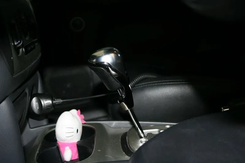 Callie'sshifter.jpg