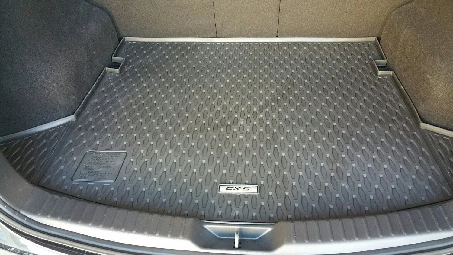 cargo liner.jpg