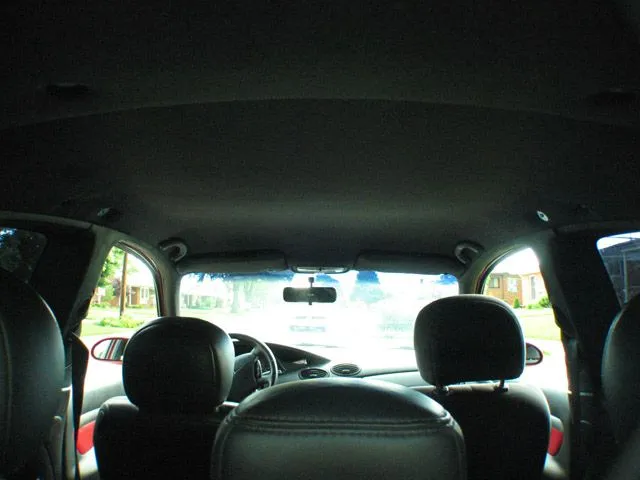 carnewlip 020s.webp