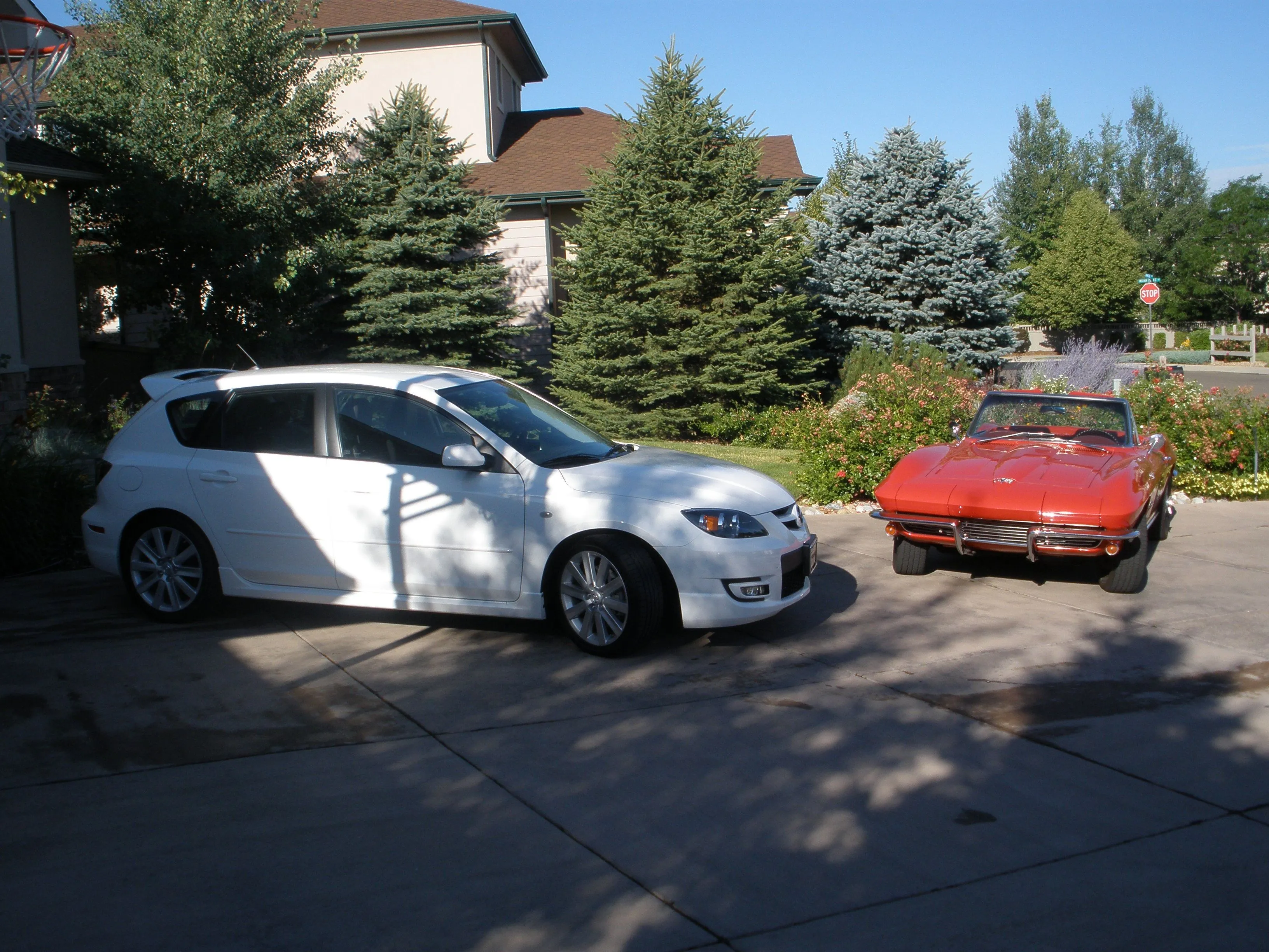 Cars 008.jpg