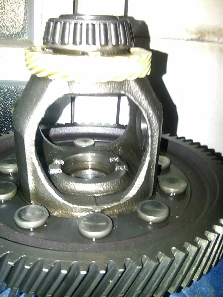 Case & Ring Gear 1.jpg
