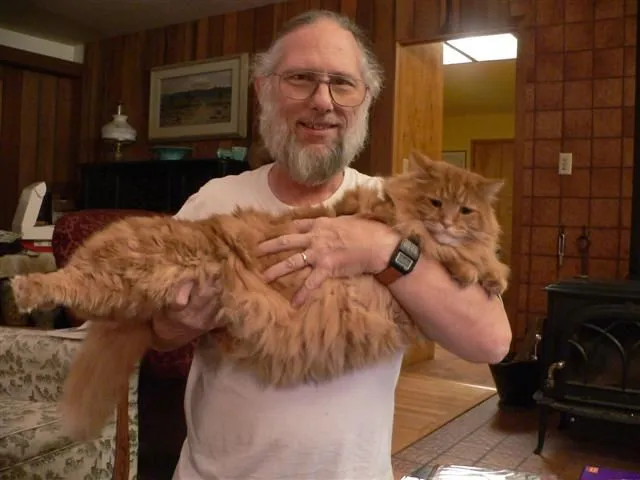cat3 (Small).JPG