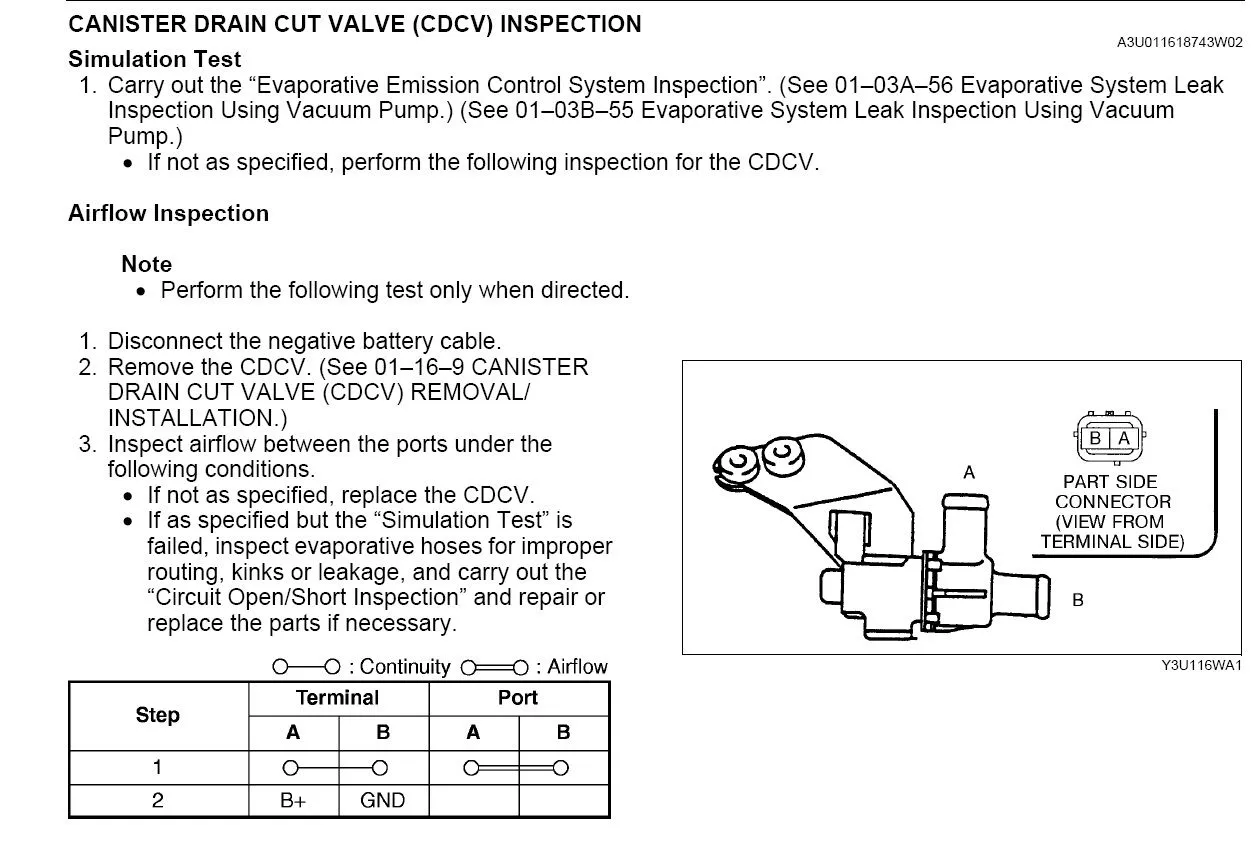 CDCV_2.jpg