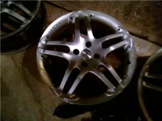 cel pic3.jpg