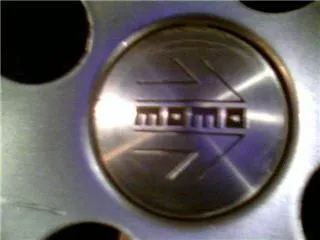 cel pic4.jpg