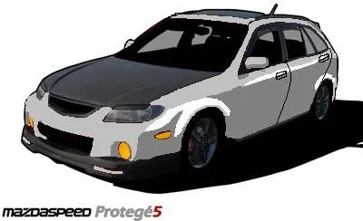 cell_msp5_5(1fastmp5)1.jpg