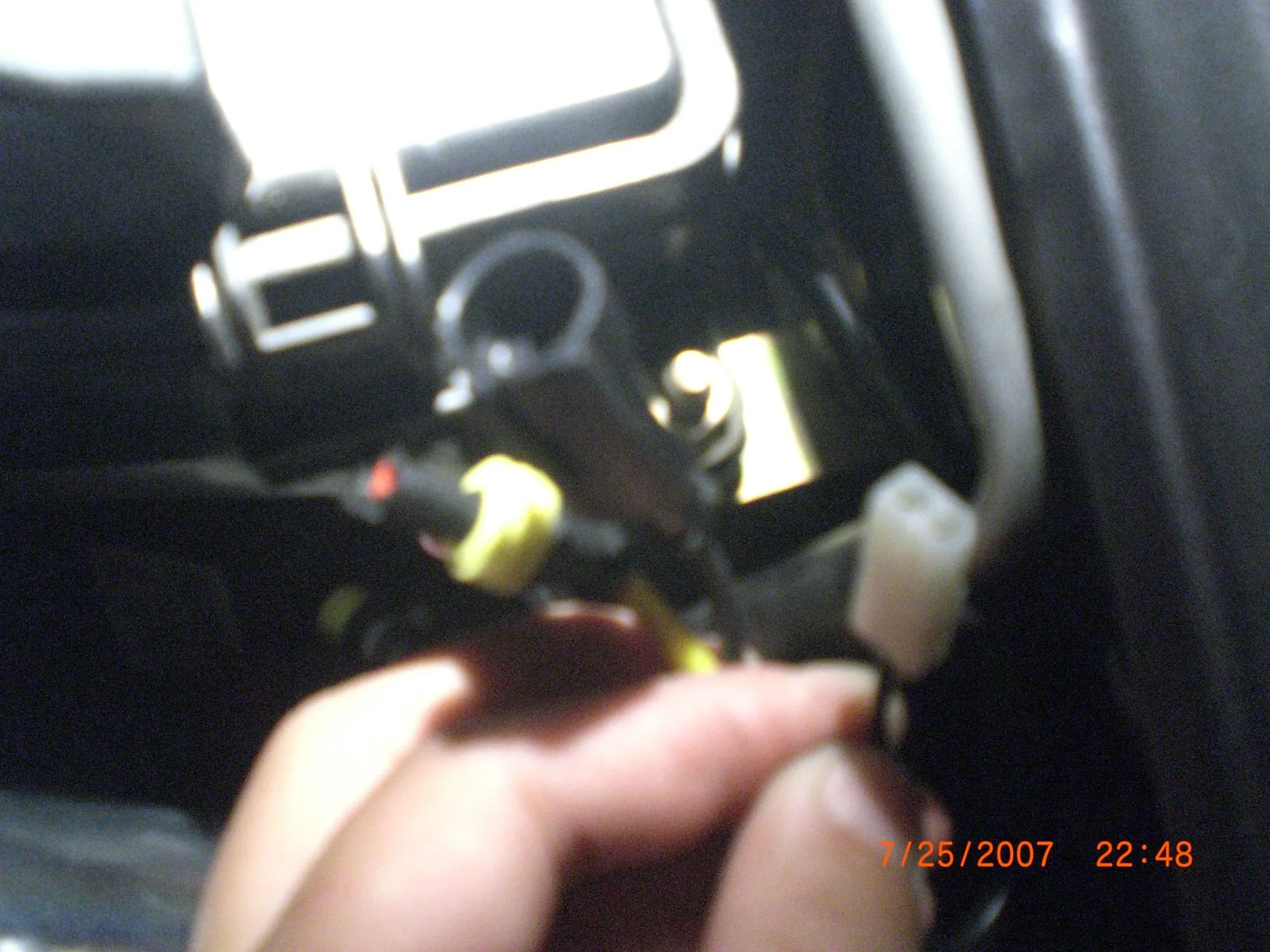CIMG1095.JPG
