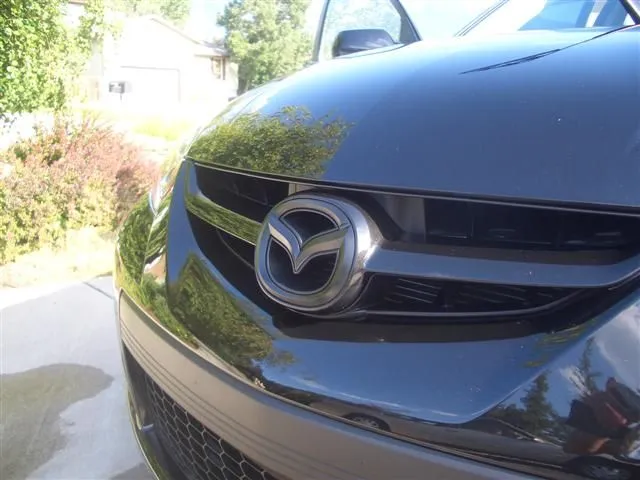 CIMG7831 (Small).JPG