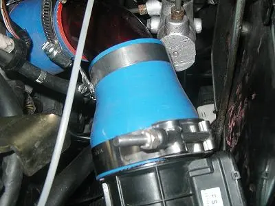 closeup1.JPG