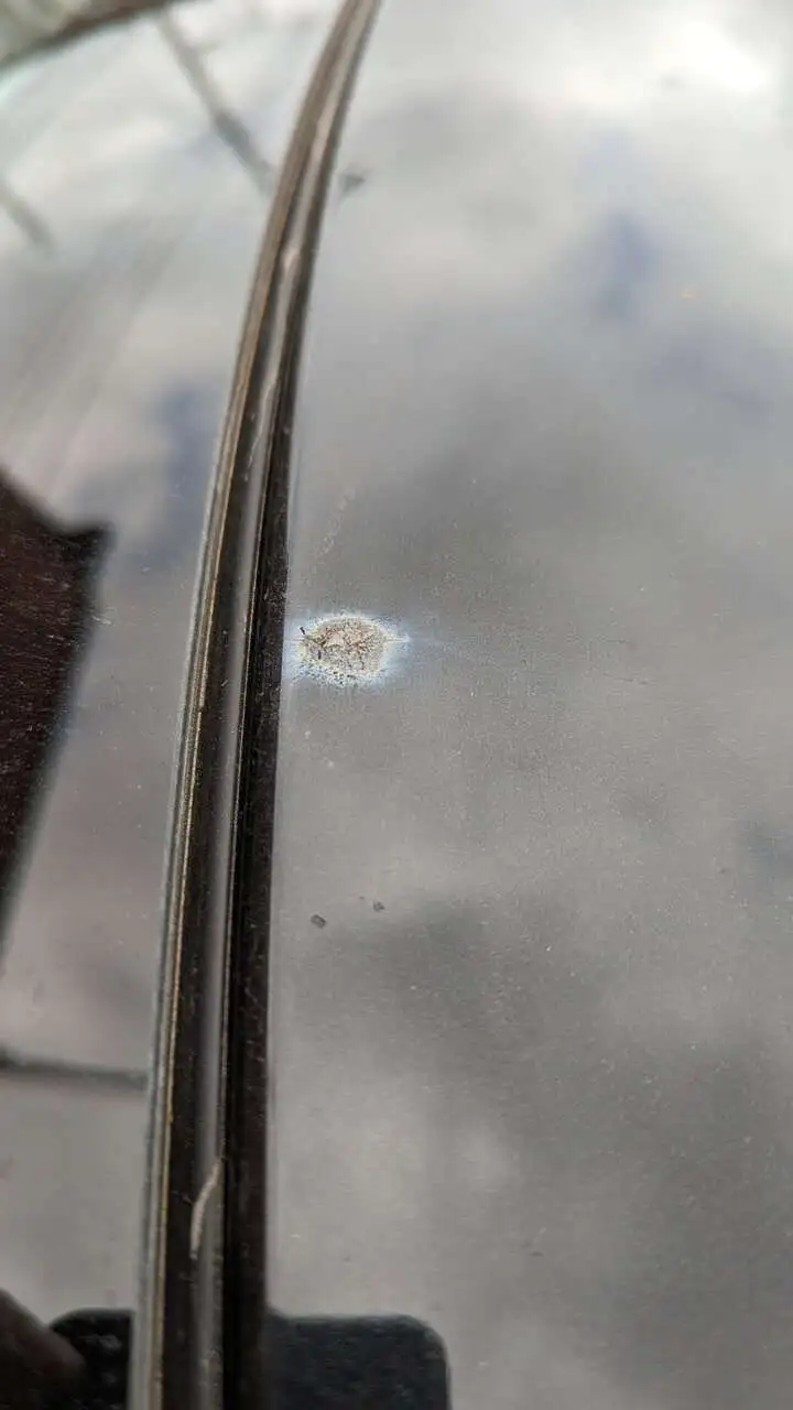 Closeup1.jpg