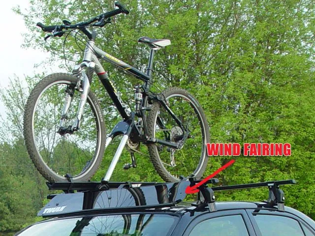 closeupfer copy.webp