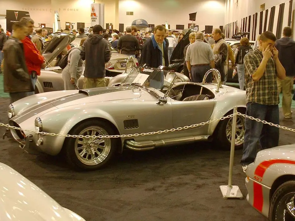 cobra.webp