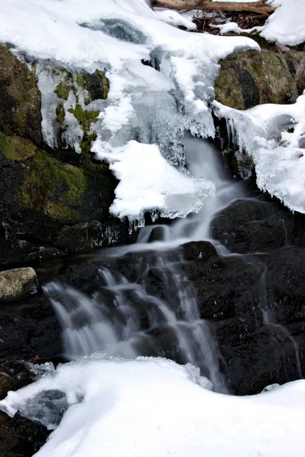 CRW_2339.webp