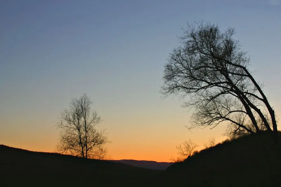 CRW_2340.webp