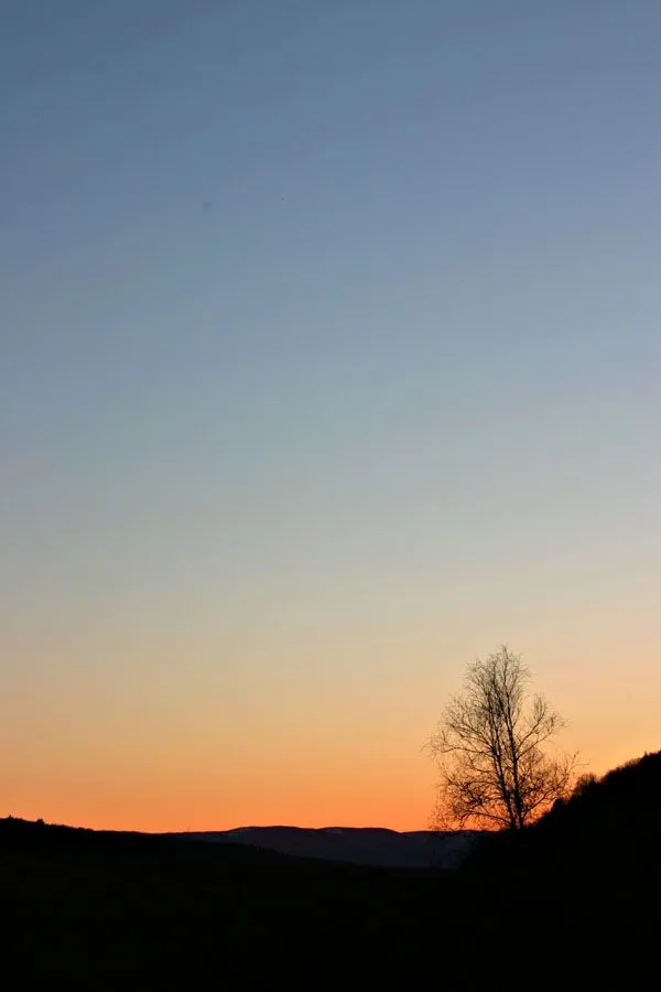 CRW_2345.webp