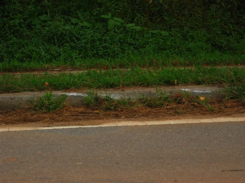 curb 01.webp