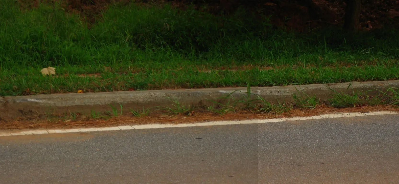 curb 02.webp