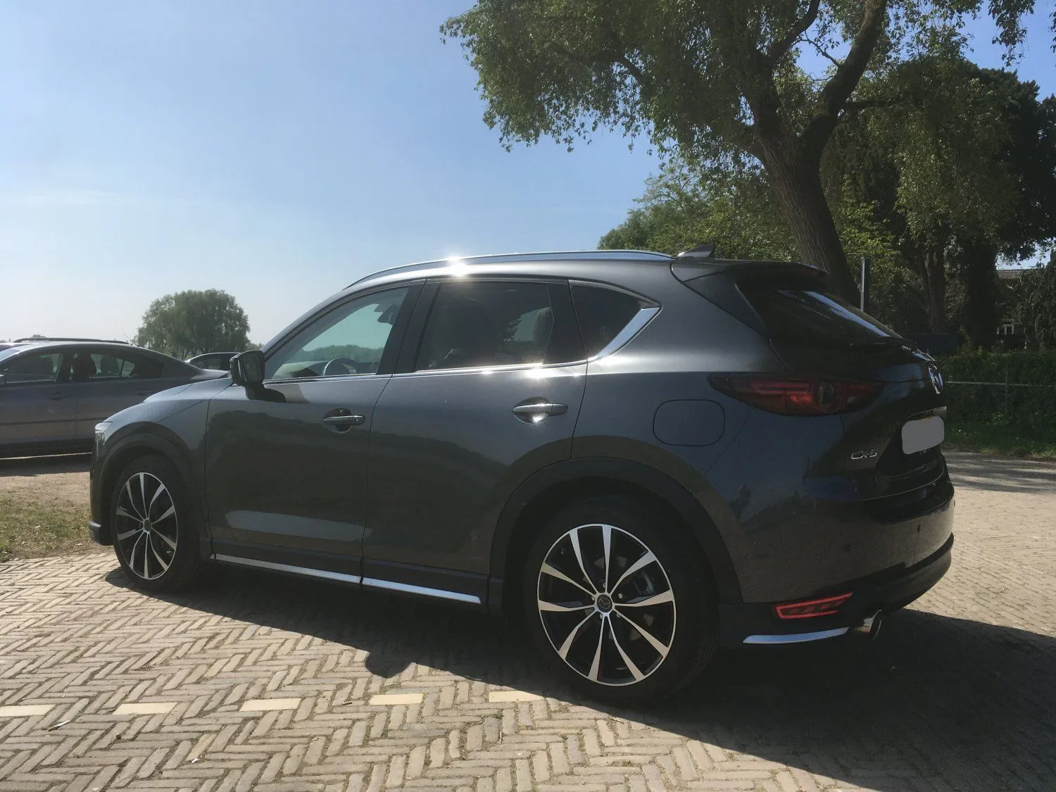 CX-5 Back_2.jpg
