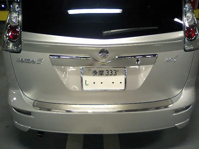 damd wing2.jpg