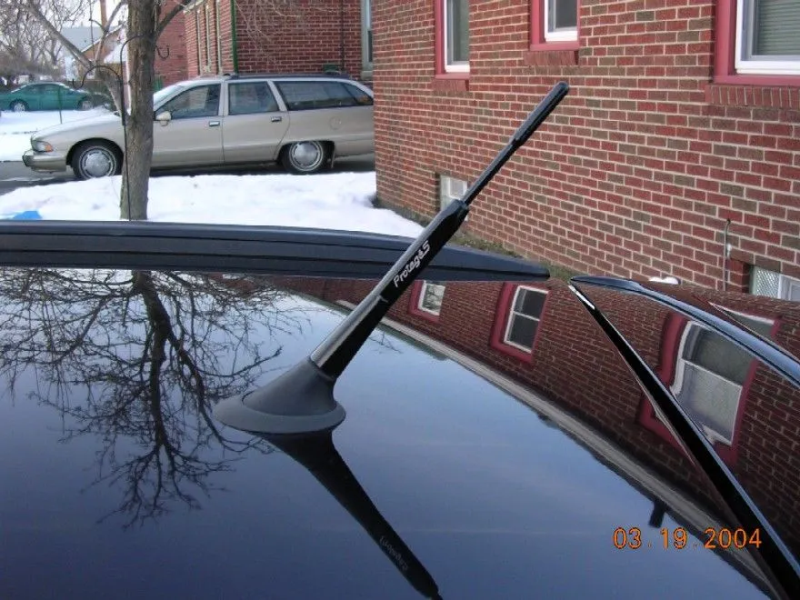 DaveB Antenna-small.JPG