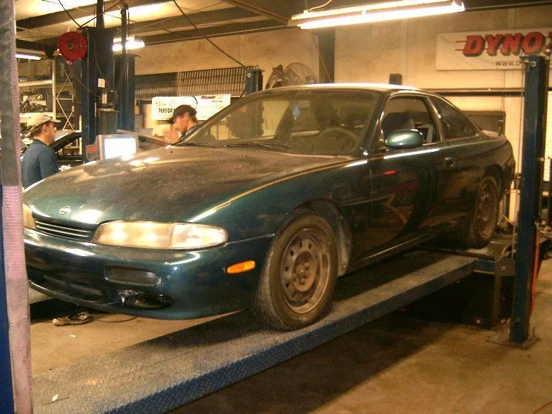 David's 240 1.webp