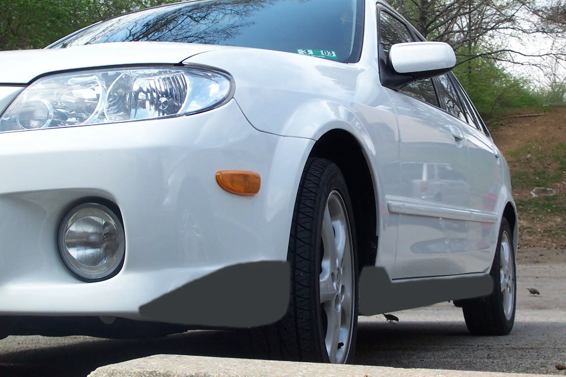 dcp_0681 painted.jpg