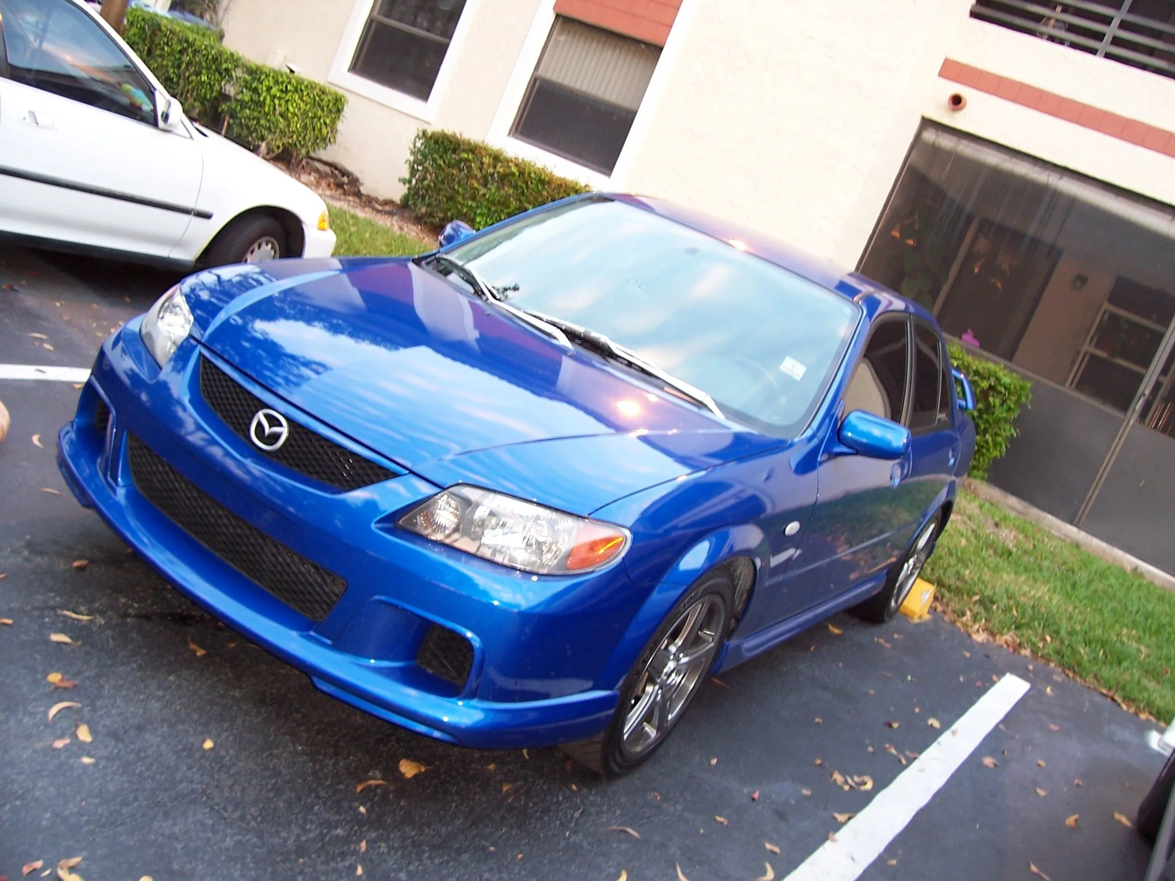 Digital photos 073.webp