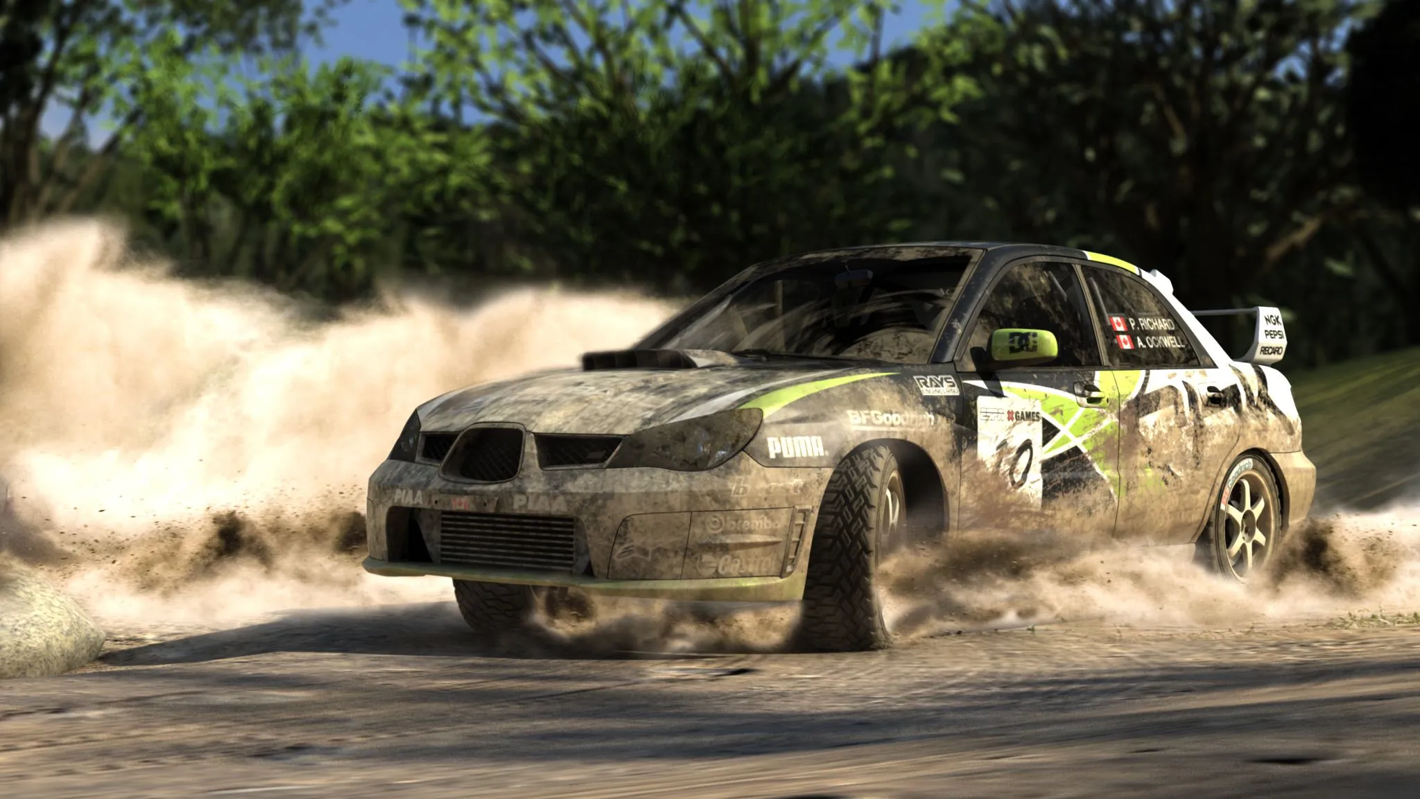 dirt_still.webp