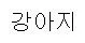 dog.webp