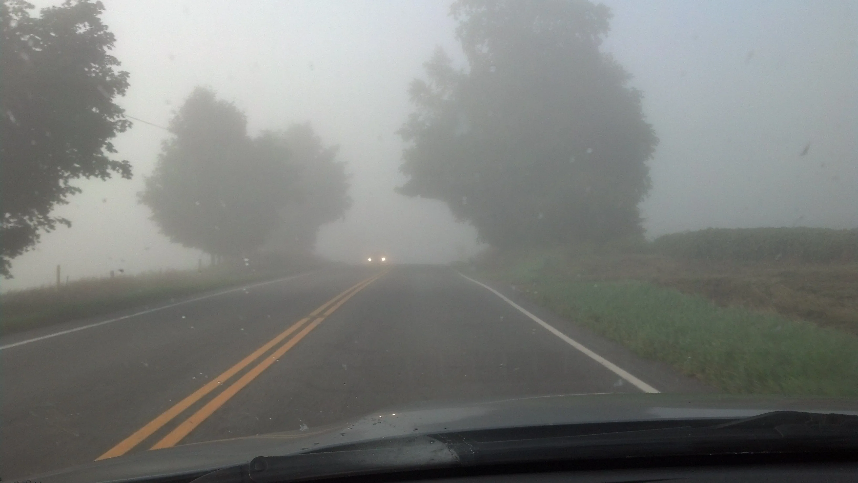 Drive to Work (4).webp