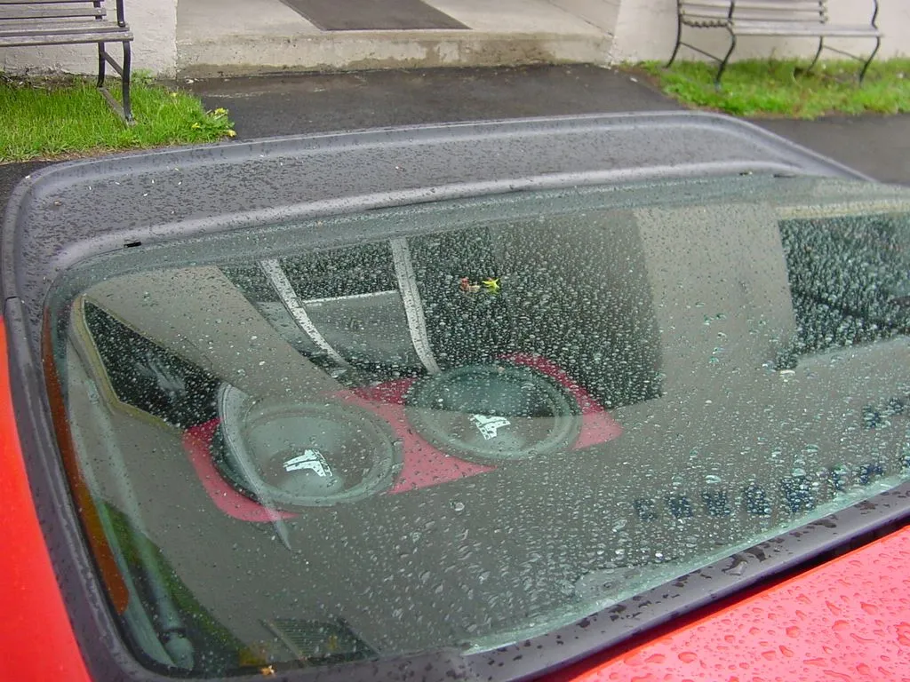 dsc00004.jpg