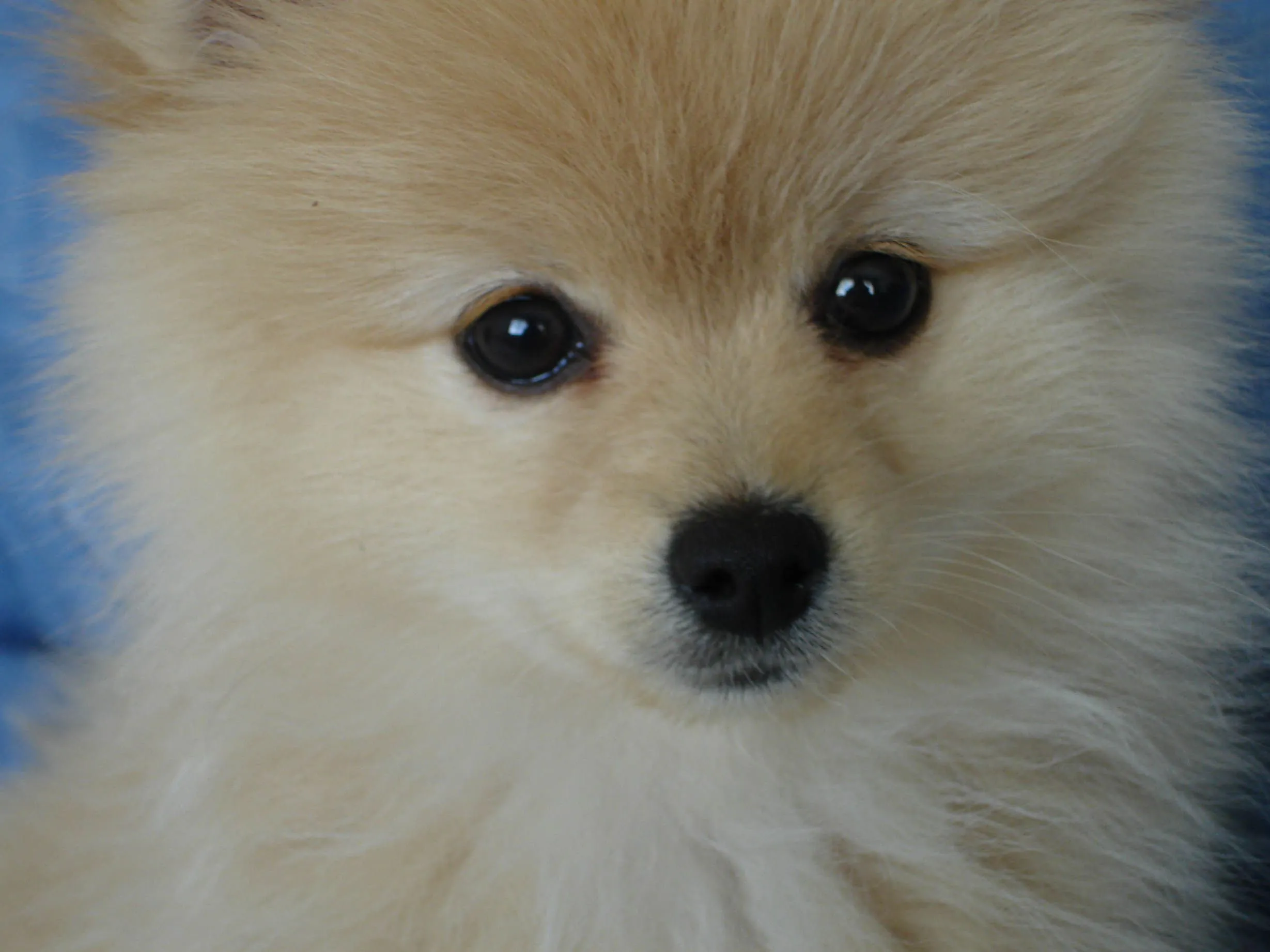 DSC00006.webp