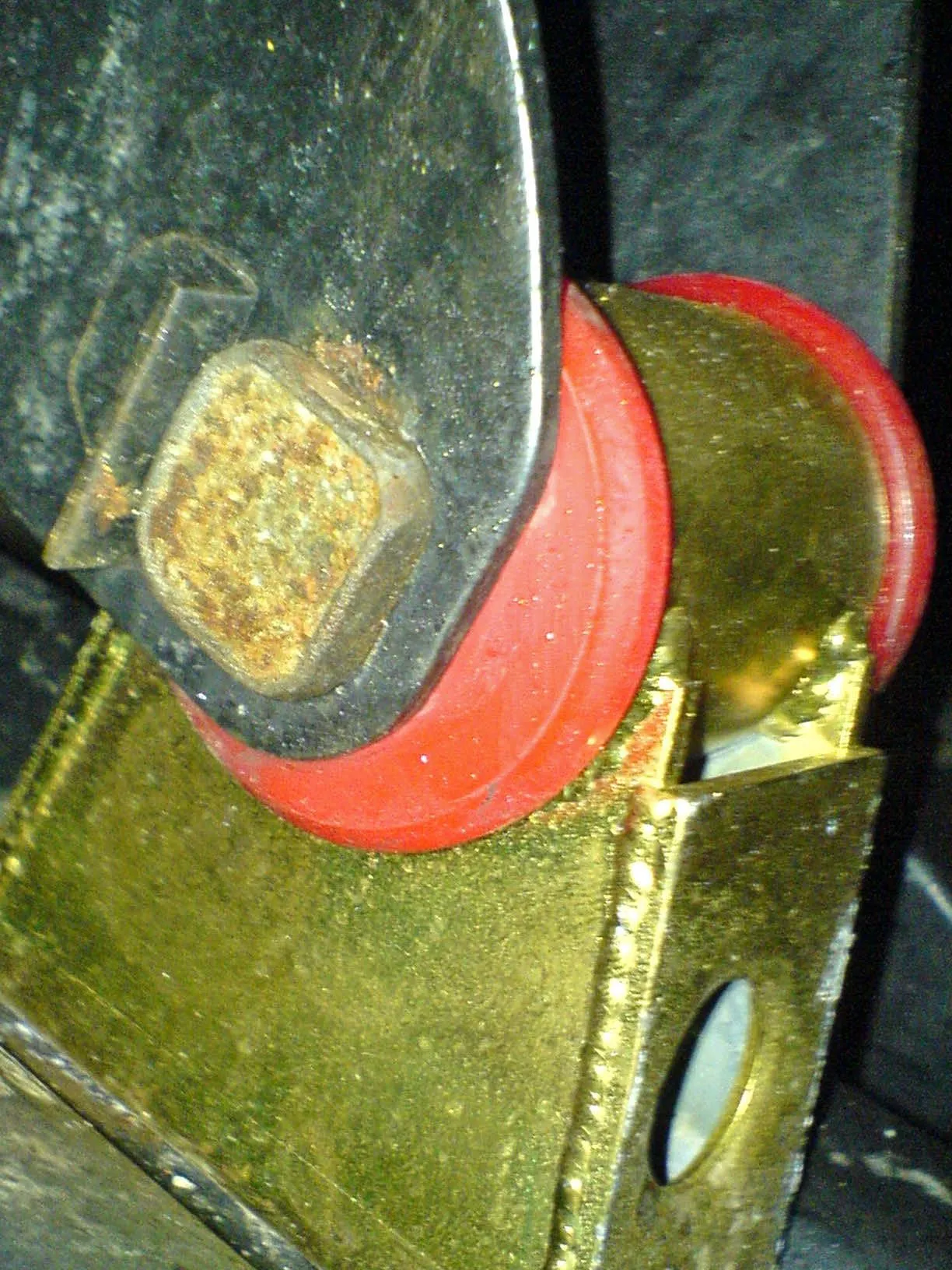DSC00010_edited.JPG