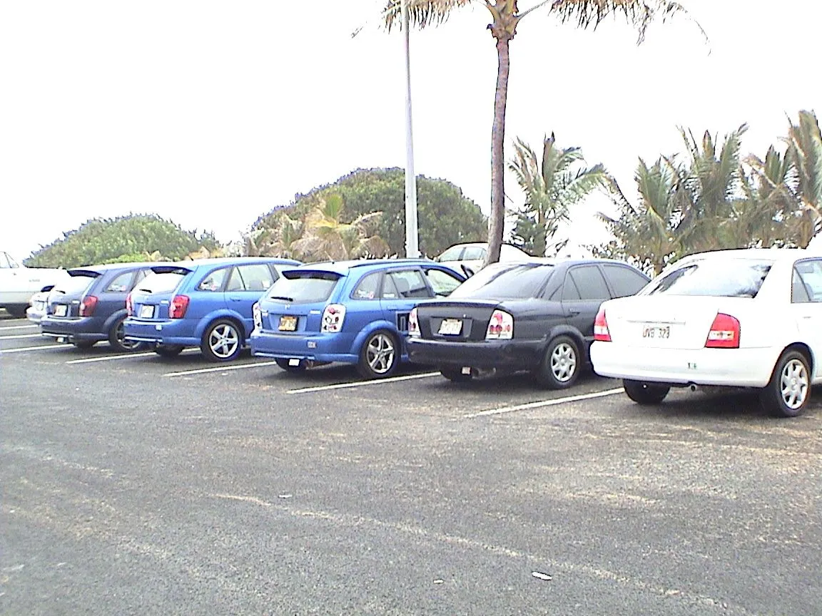 dsc00082.webp