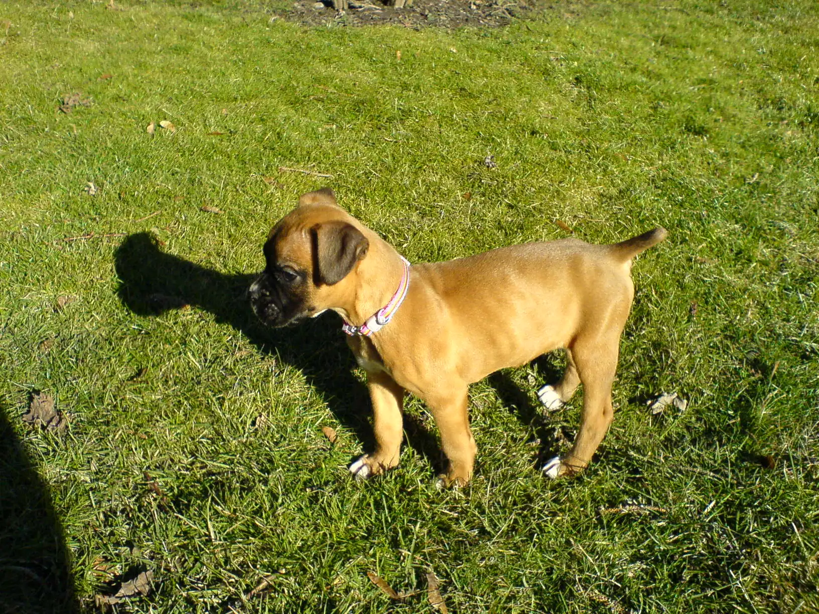 DSC00097.webp