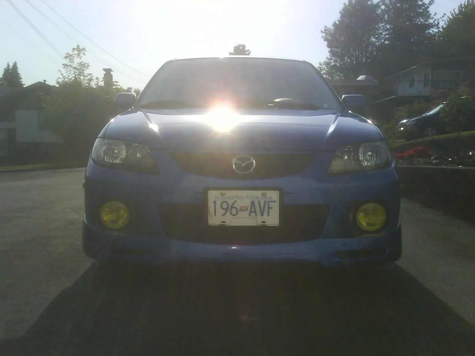 DSC00101.webp